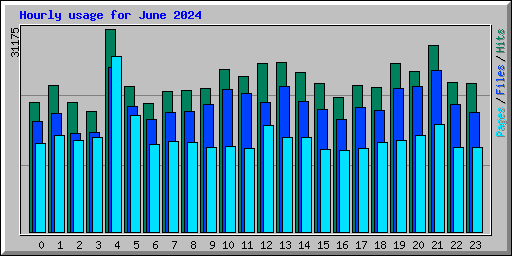 Hourly usage for June 2024