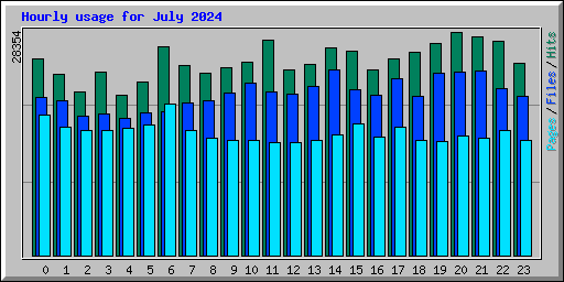 Hourly usage for July 2024