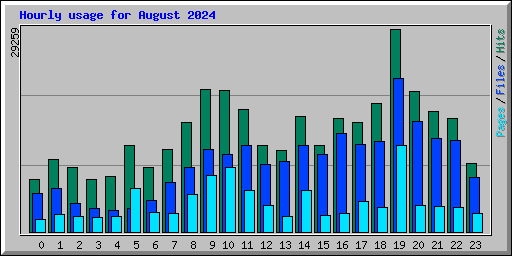 Hourly usage for August 2024