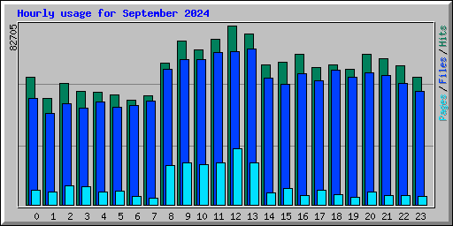 Hourly usage for September 2024